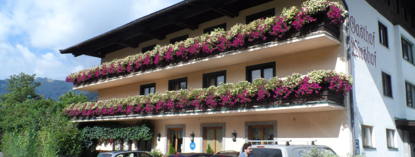 Wieshof, Horst Wieder, Zell am See-Thumersbach + Landessieger